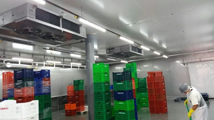 Room Blast Fish Freezer, 220V - detail 20