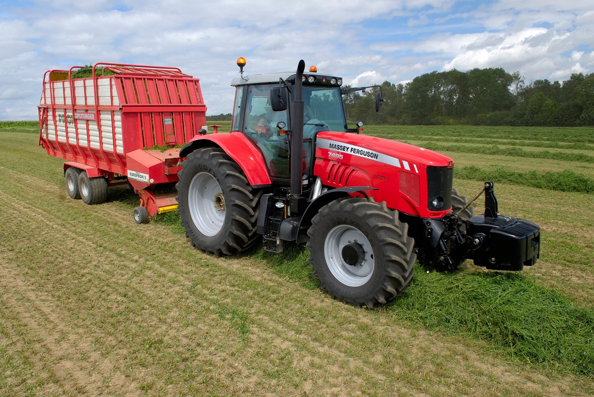 High Quality Alfalfa Hay Bales From Pakistan/ Top Protein Quality ...