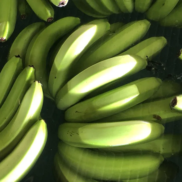 
Wechat  84971316435 good price for fresh banana reach Shanghai port China 