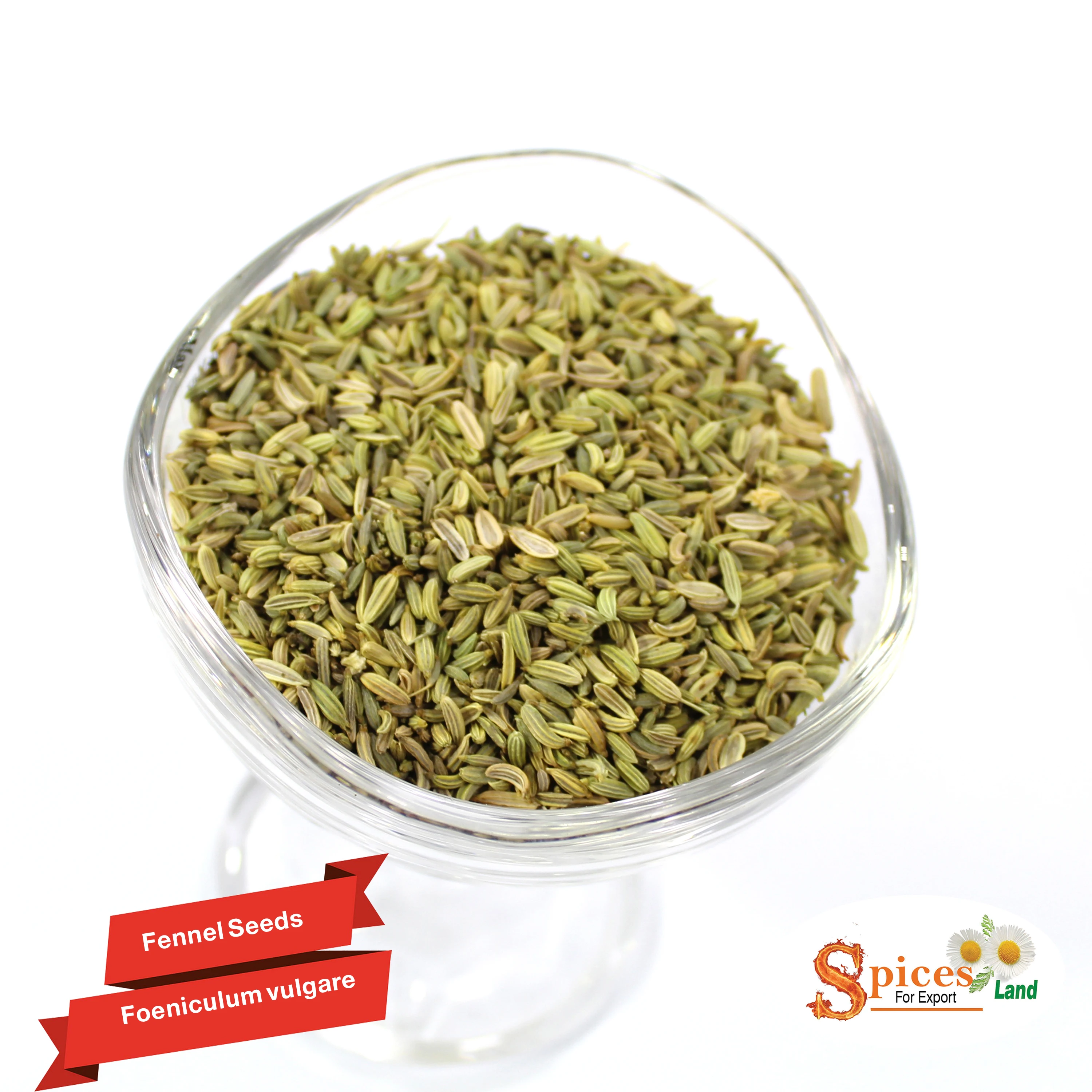 
Fennel Seed High Quality Top Grade Manufacturer Wholesale -BEST QUALITY, BEST PRICES (SPICES LAND FOR EXPORT) 