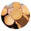 /product-detail/excellent-quality-timber-pine-wood-logs-62017311659.html
