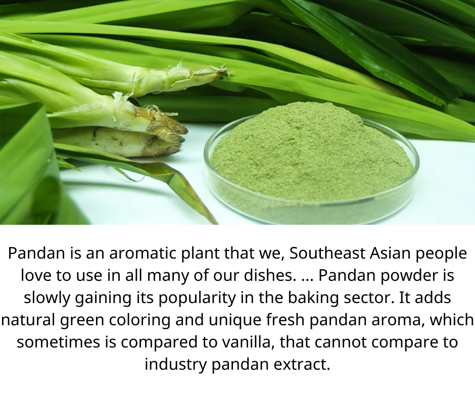 Desserts Made Easy With Pandan Leaf Powder Pandan Leaf Extract Powder Made In Viet Nam //ms