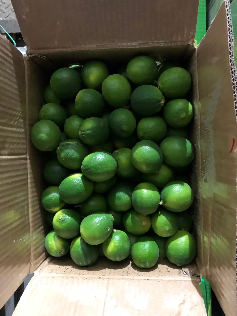 vietnamese lime (whatsapp +84972678053) 2