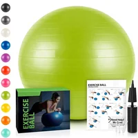 

ECO-friendly Anti Burst Balance with Hand Pump yoga massage ball,yoga ball