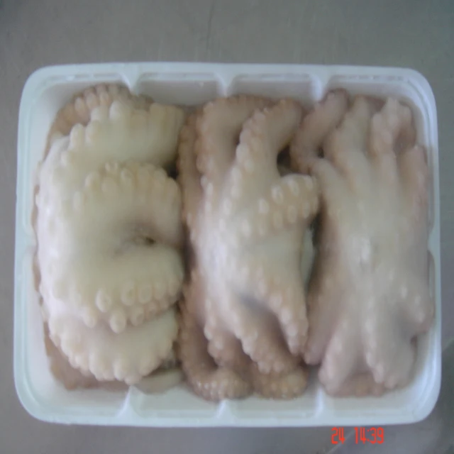 
Frozen Baby Octopus/Baby Octopus in Viet Nam- best price 