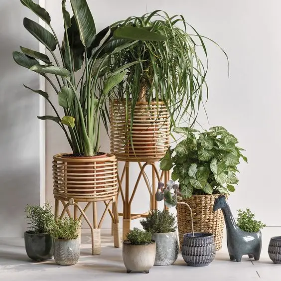 Wicker Stand Planter Pot Unique Rattan Panel Planter Stand Rattan