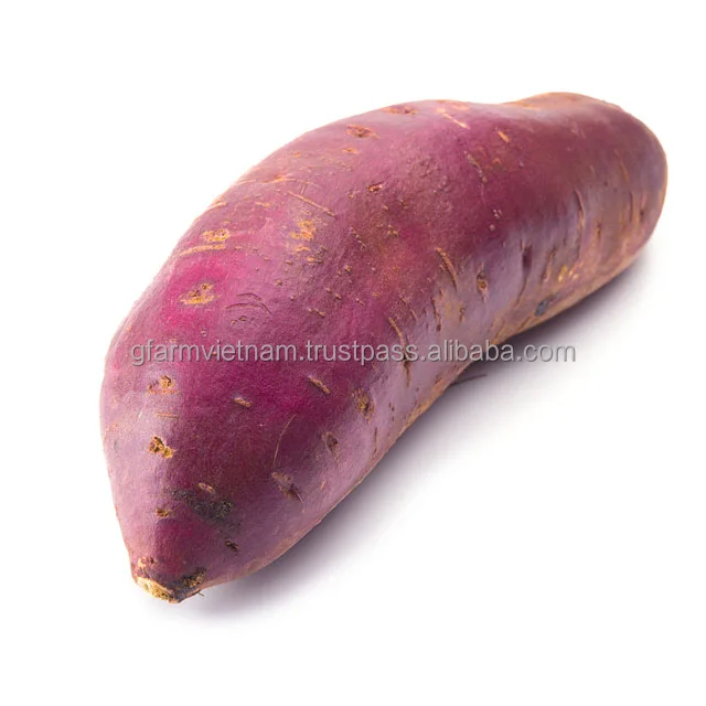 
Season 2019 for sale sweet potato Japanese best price 