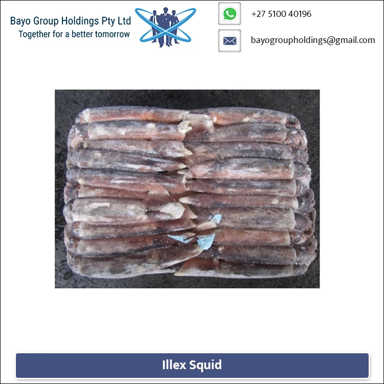 
Wholesale Supplier of Illex Squid Low Price 
