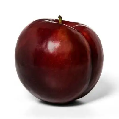 imagesgfddf.jpg