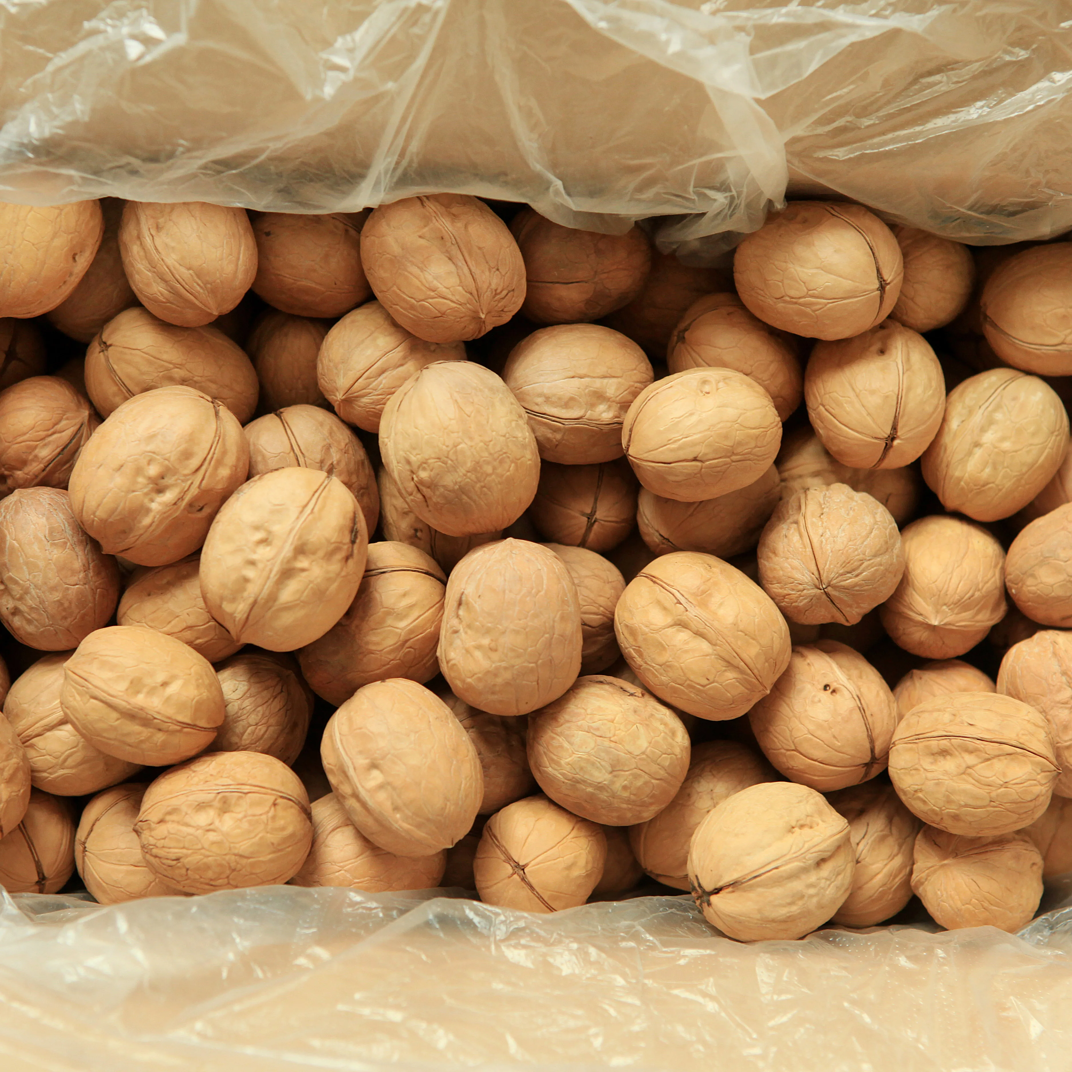 Whole walnuts in shell for sale