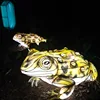 China Holiday animal frog lantern show Chinese lantern festival 2019 lantern