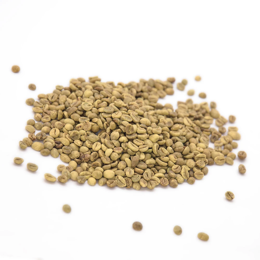 
Roasted Raw Coffee Bean Best Quality With 100% Green Type And 90% Maturity In Bulk 