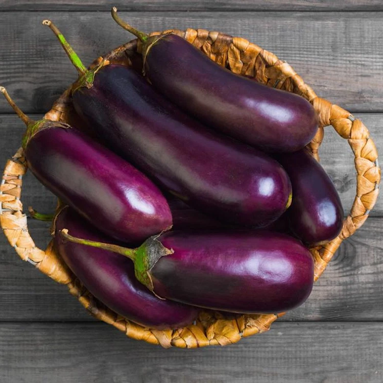 
100% Fresh Vegetable Brinjal / Eggplant / Aubergine 