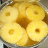 Good quality Canned Fruits/Date/Fig/Kiwifruit/Loquat