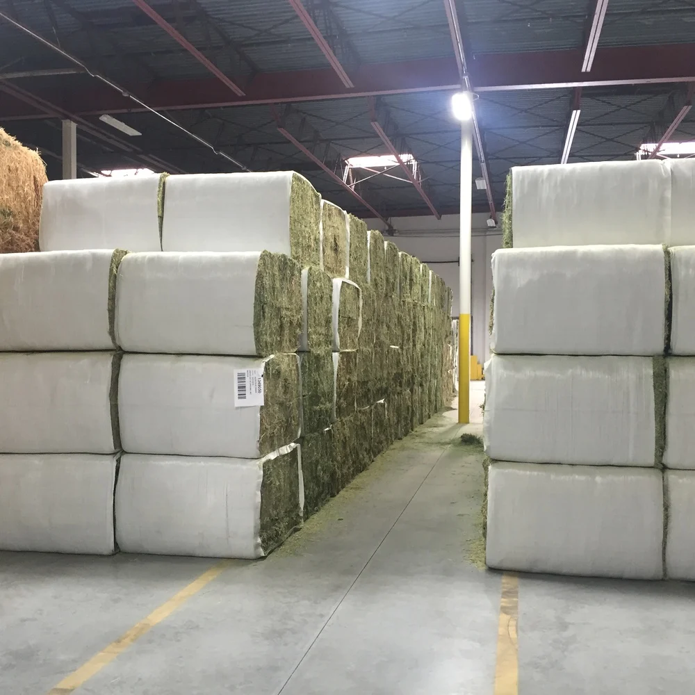 
High Quality Alfafa Hay for Animal Feeding Stuff Alfalfa / Timothy / Alfalfa Hay for Sale* 