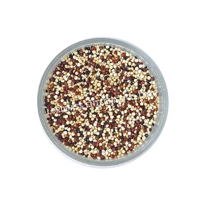 
Quinoa Seed Organic Tricolor Premium Grade From Thailand 