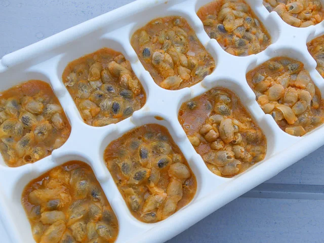Passionfruit-cubes.jpg