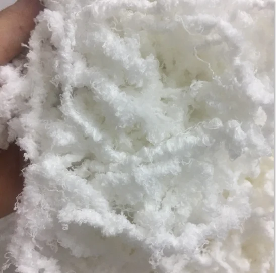 carded open end cotton