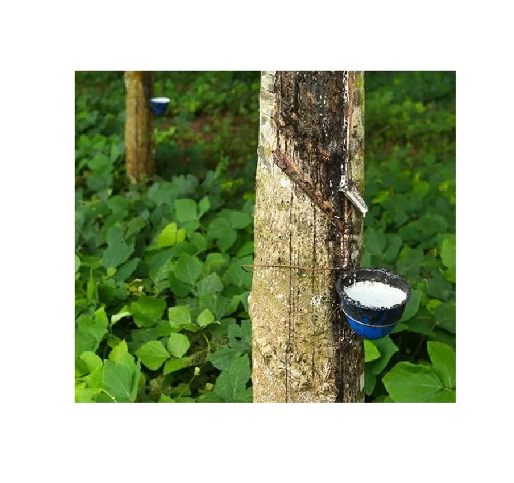 
Natural Rubber Latex Raw Material Wholesale 