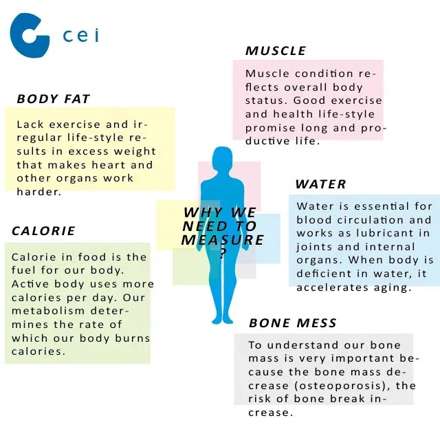 Body Analyzer-02.jpg