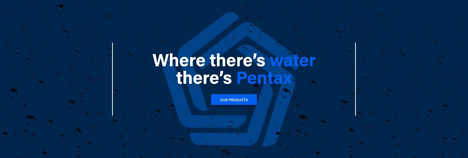 Pentax Industries Spa Pumps