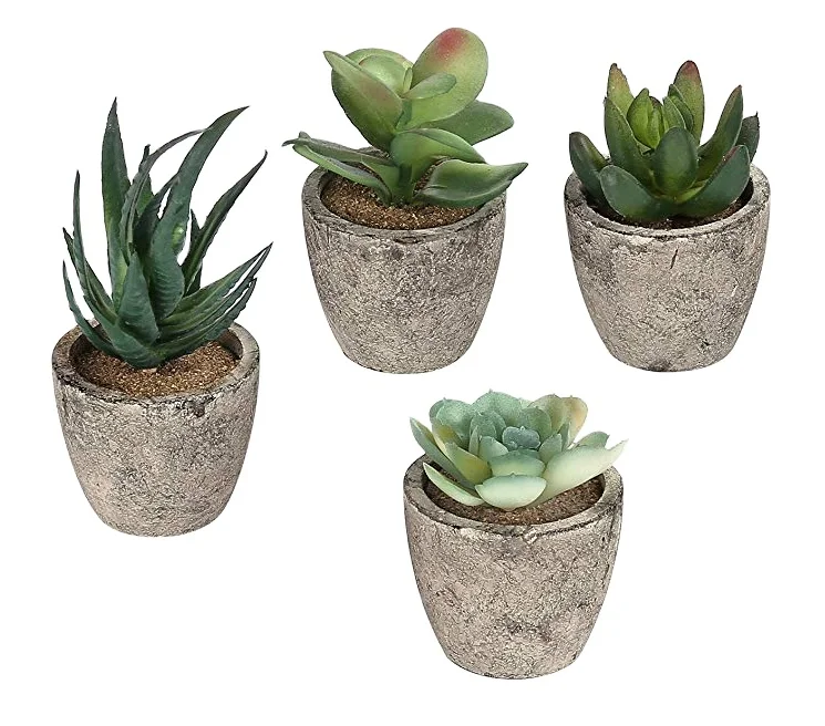 

Home Deco high quality mini Paper Mache pulp artificial gray potted aloe succulent plants, Green