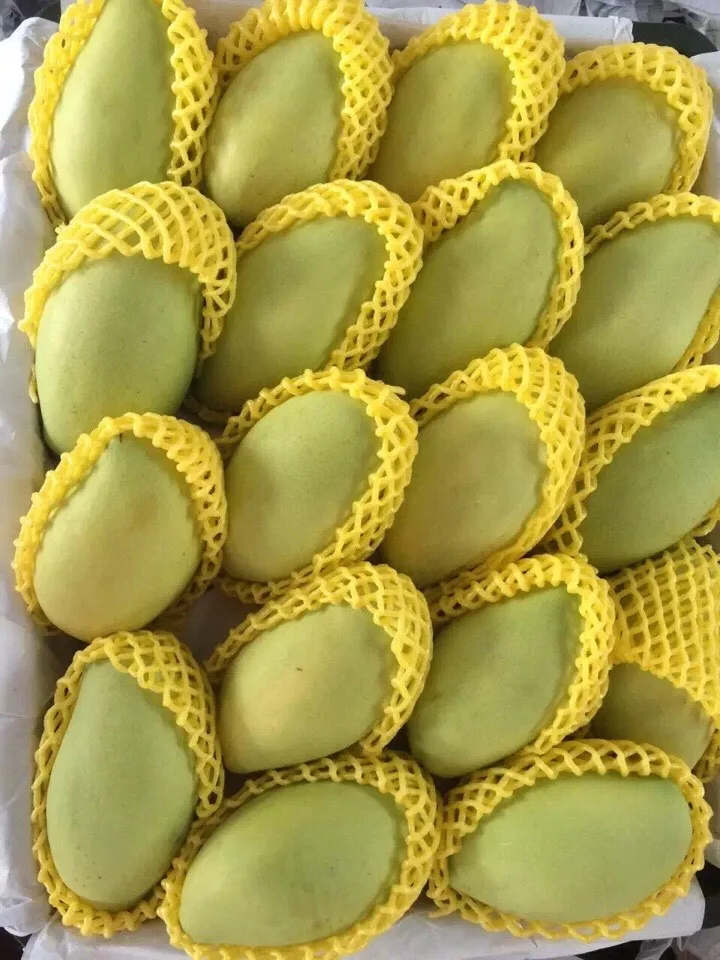 fresh mango packing 5.jpg