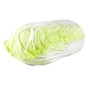 Fresh Style and Cruciferous Vegetables Product Type cabbage Available