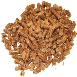 sugar beet pulp pellets