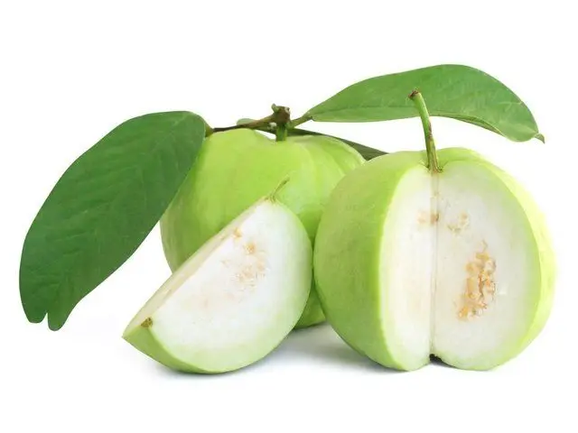 
FRESH GUAVA SWEET T/White TASTY GUAVA FRUIT OF THAILAND FACTORY SUPPLY NATURAL GUAJAVA FRUITS DELICIOUS HIGHEST QUALITY Per Tons 