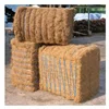 /product-detail/high-quality-low-price-palm-fiber-62010416703.html