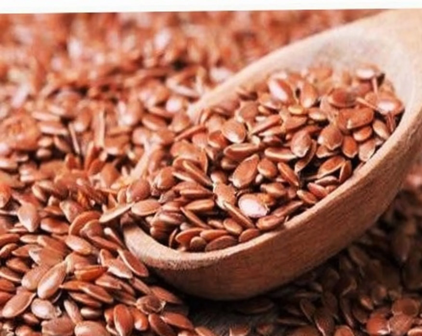 wholesales Ukraine Linseed flax seed Golden brown color flax seed for oil