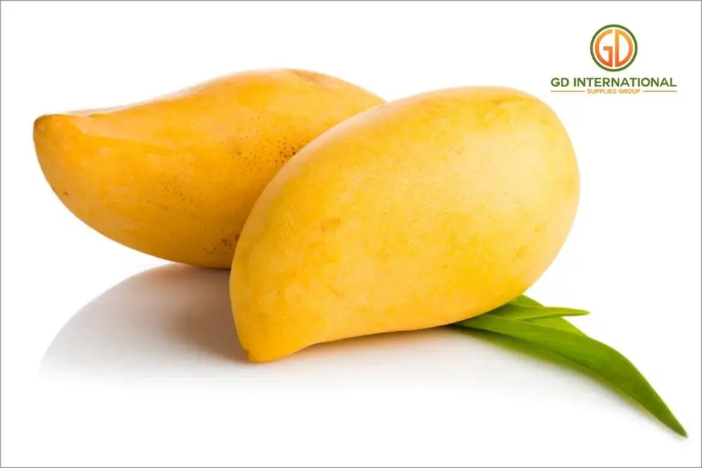 
OEM Sliced Soft Dried Mango from Thailand Private Label Packaging Available Factory Price 