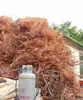 High Quality Cheap Copper Wire Scrap/Millberry 99.99% Copper Wire for purchase