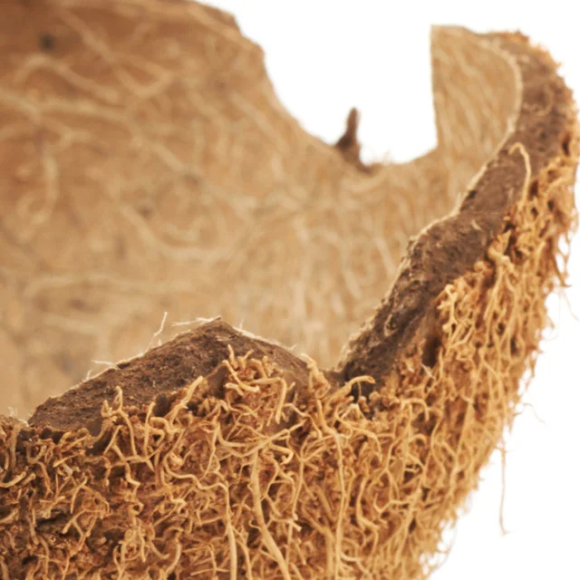 
Agriculture Waste Raw Coconut Shell with High Quality 