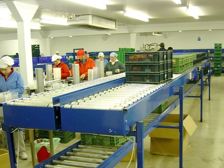 Strawberry Packing Line 2.jpg