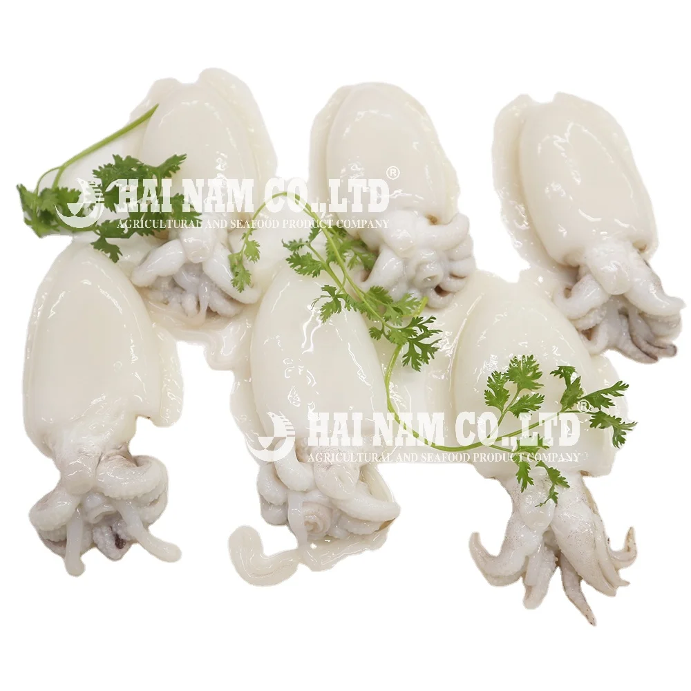 
2 years Shelf Life Best Price High Quality Frozen Cuttlefish Whole cleaned Raw with HACCP Certification from Vietnam 