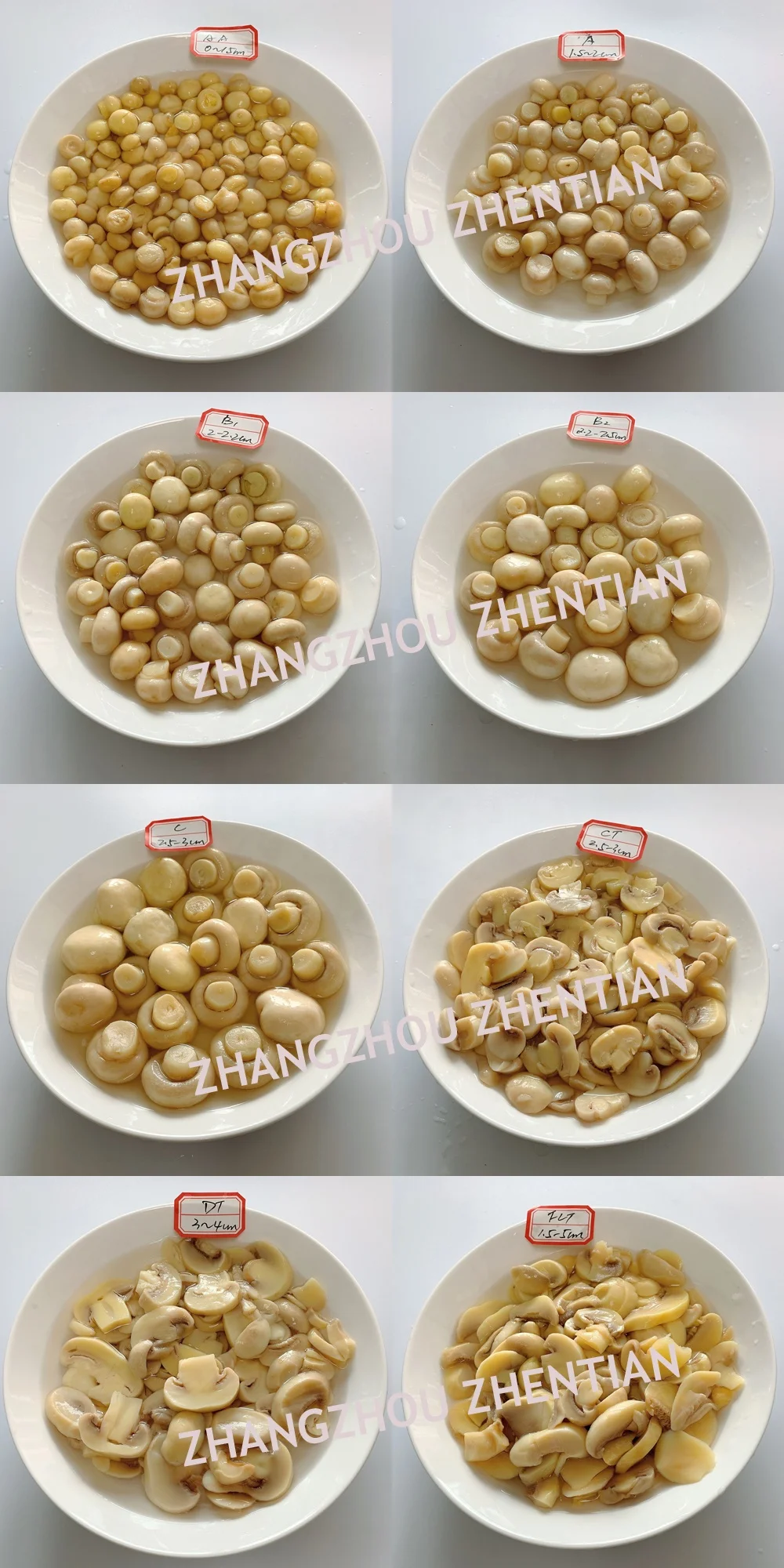 PNS King oyster mushroom in drums