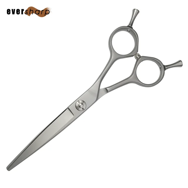 

Professional High Quality Barber Scissors, Silver