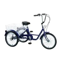 

20'' Inch Steel Frame 3 Wheel Trike Pedal Bike Modern Cargo Rickshaw Classic Trike