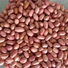High Quality Peanuts, Ground Nut for sale