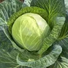 Fresh Style and Cruciferous Vegetables Product Type cabbage