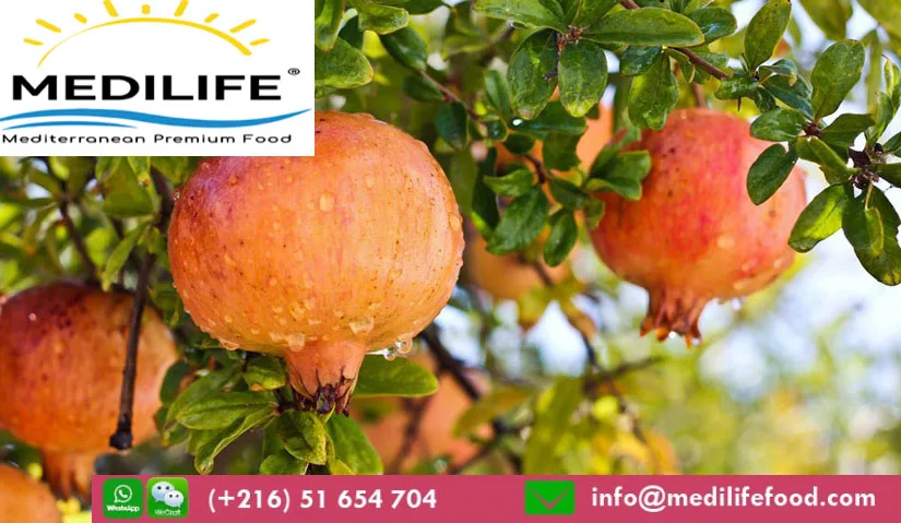 pomegranate banner .jpg