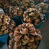 /product-detail/best-dry-stock-fish-dry-stock-fish-head-dried-salted-cod-for-sales-62016884628.html