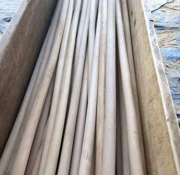 100% Nature Dry Straight Rattan Bamboo Pole For Sale- Wholesale 18mm To 