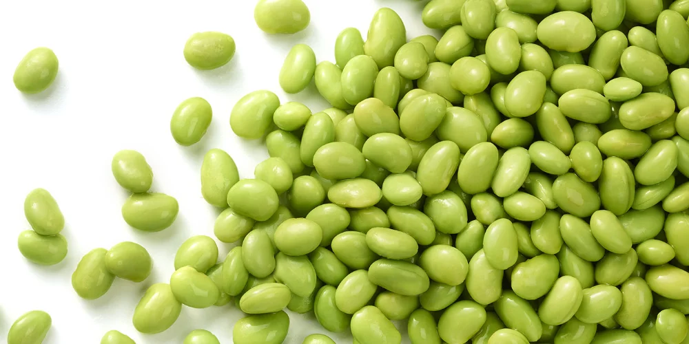 Mock bean. Бобовое зерно. edamame soya bean 500gr frozen. бобовое зерно картинка для детей. yeen beans.