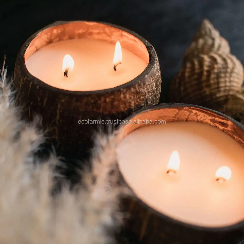 NATURAL WAX CANDLE IN SHELLS COCONUT SHELL CANDLES FROM VIETNAM, View