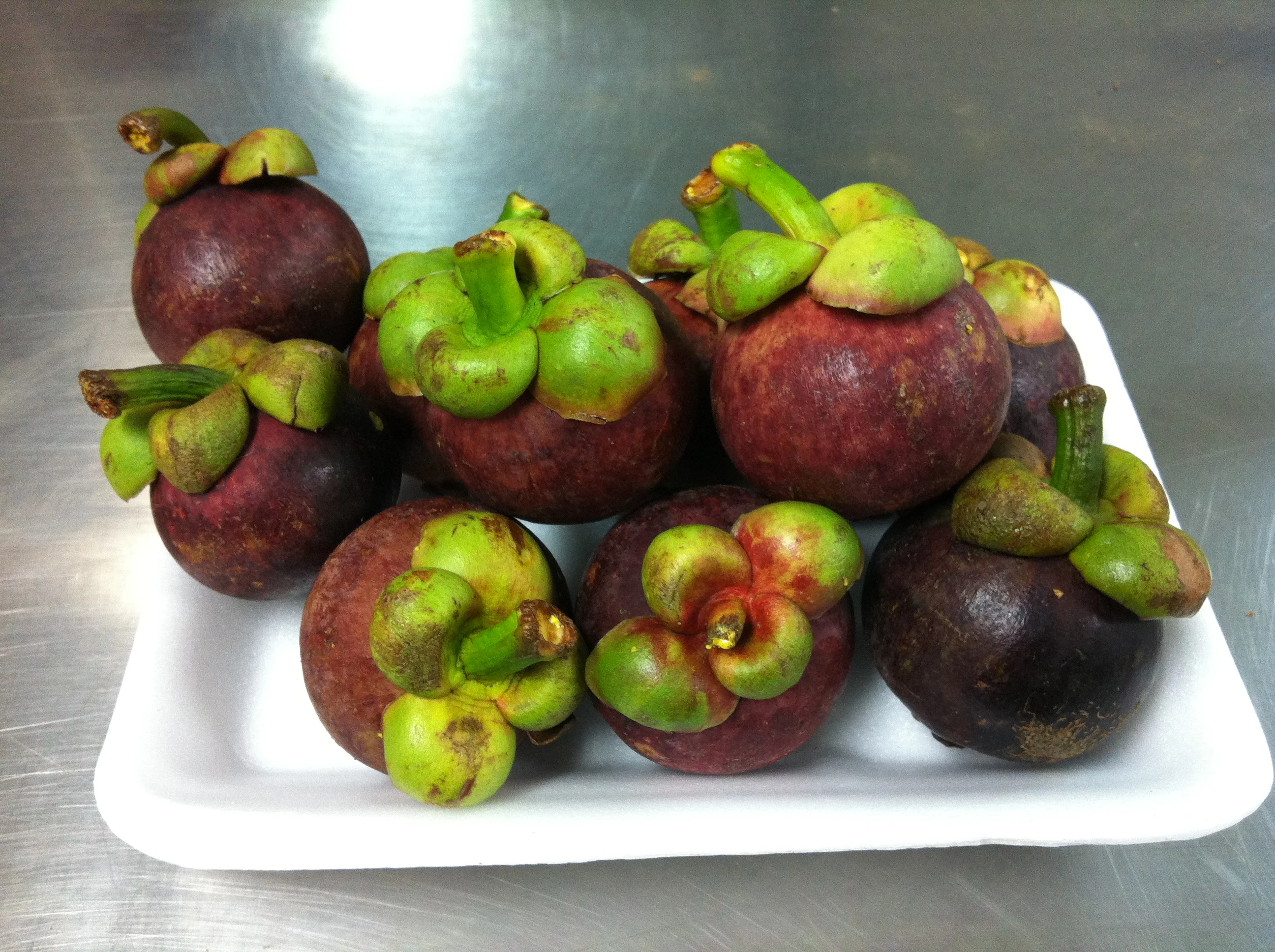 
MANGOSTEEN 