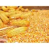 Food grade dehydrated vegetables bulk dried yellow corn