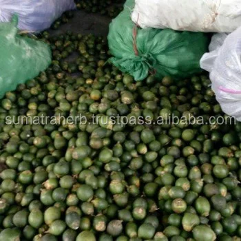 
Sumatra Supply Fresh Frozen Betel Nuts Origin Indonesia 